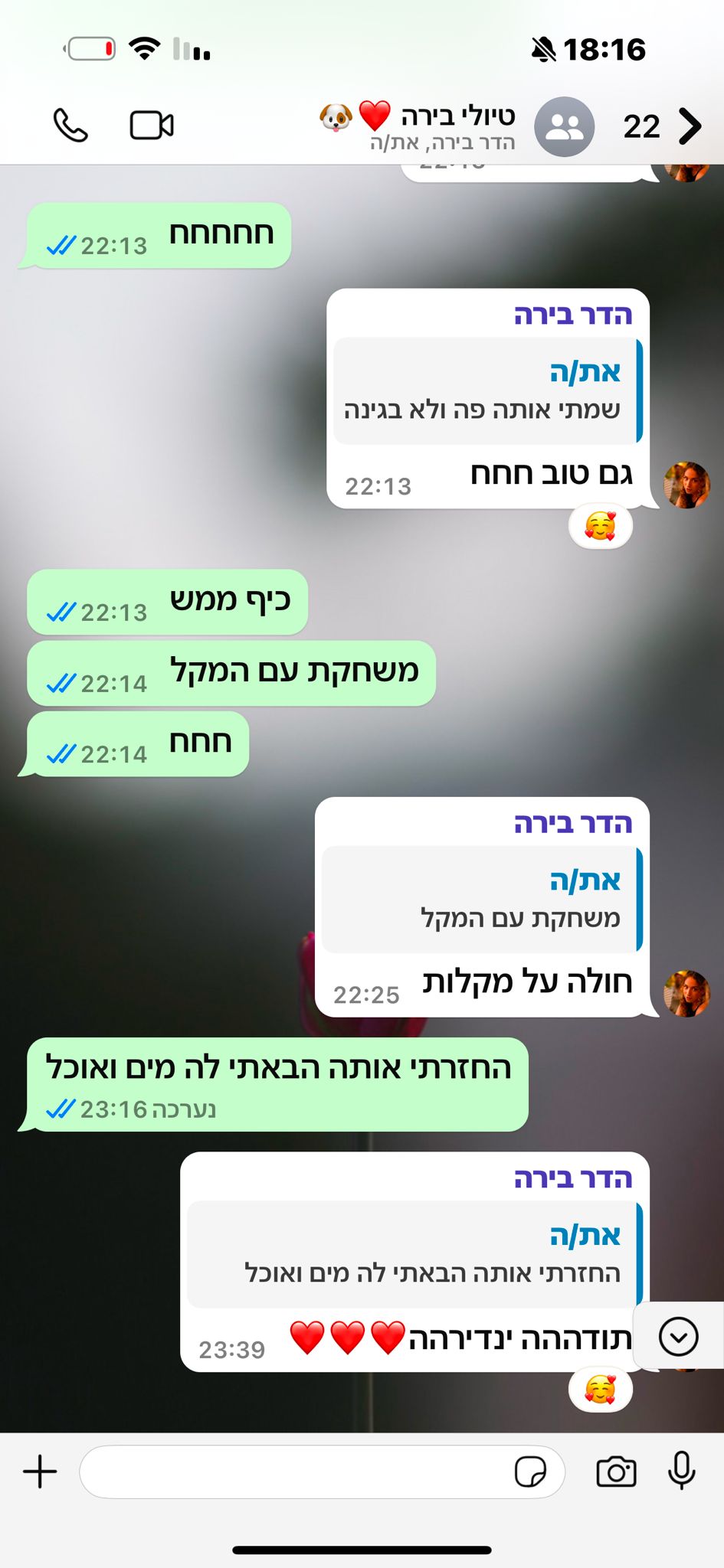 תמונה של WhatsApp‏ 2025-06-24 בשעה 18.17.07_eca89c4c